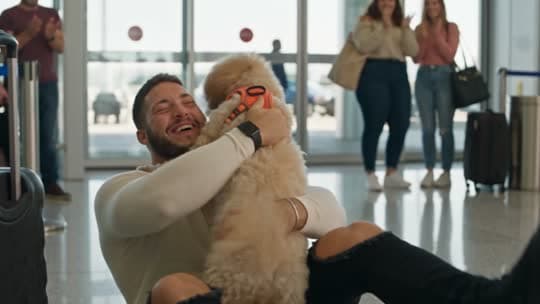 Airport Reunion template example