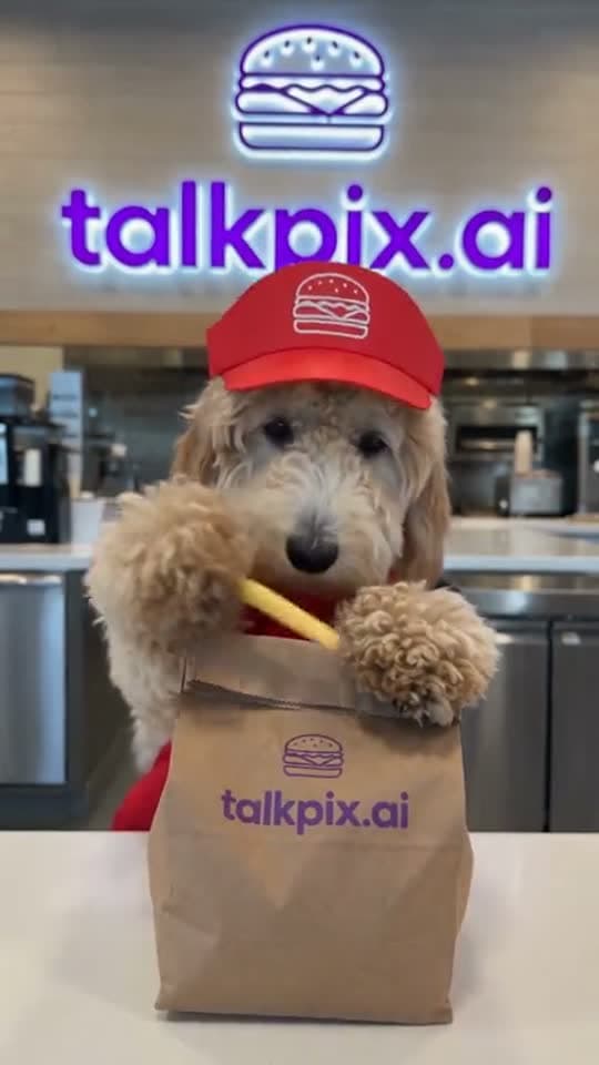 Pet Fast Food template example