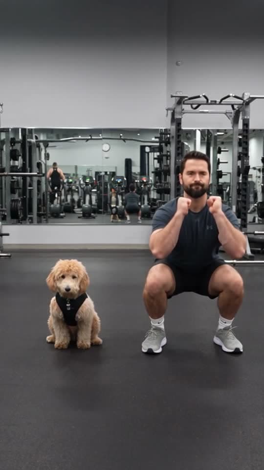 Pet Gym Coach template example