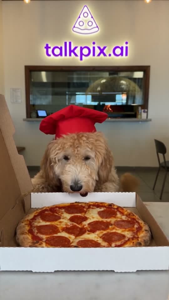 Pet Pizza Chef template example